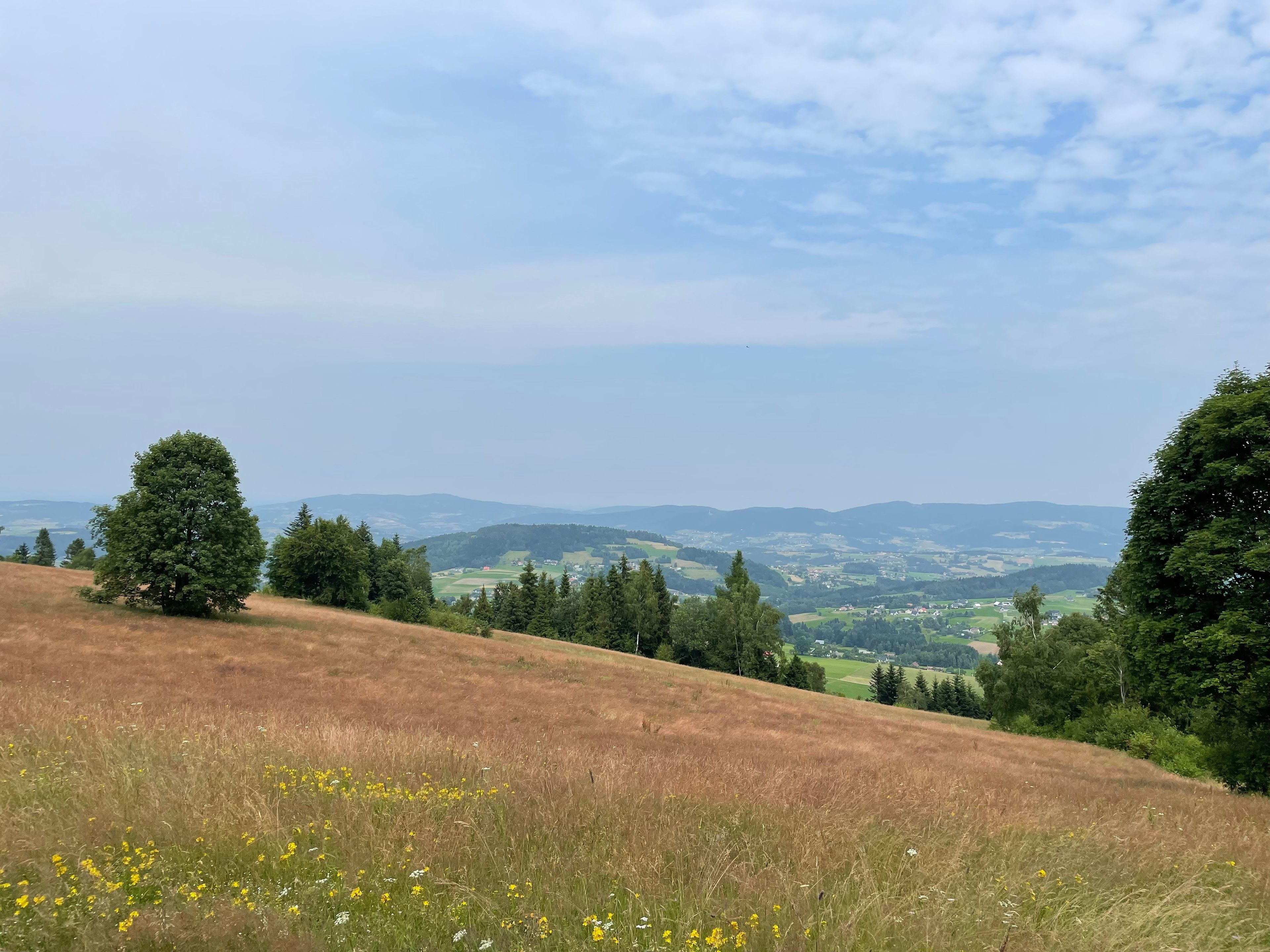 widok na pasmo niewielkich wzniesień