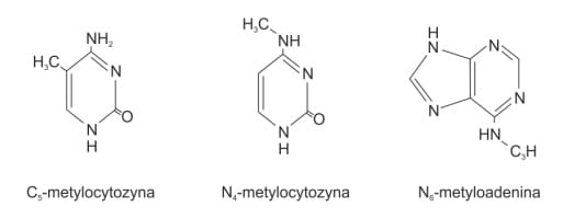 Zewnętrzne źródło